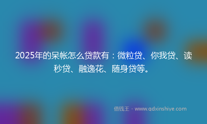 2025年的呆帐怎么贷款有：微粒贷、你我贷、读秒贷、融逸花、随身贷等。
