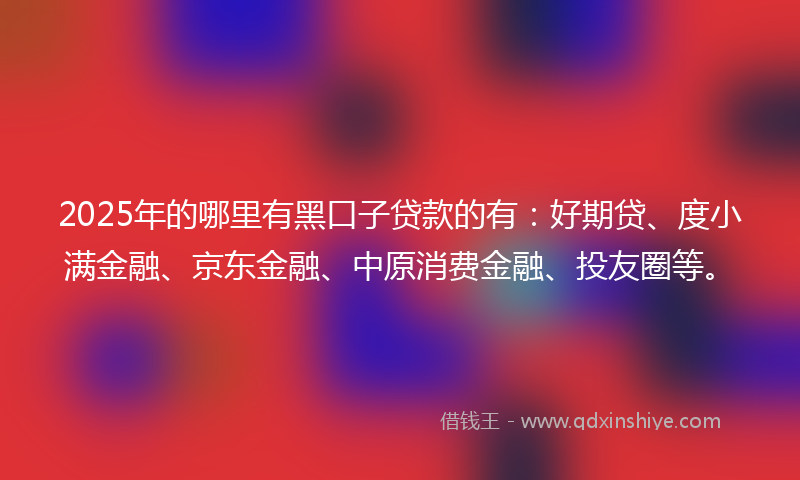 2025年的哪里有黑口子贷款的有：好期贷、度小满金融、京东金融、中原消费金融、投友圈等。