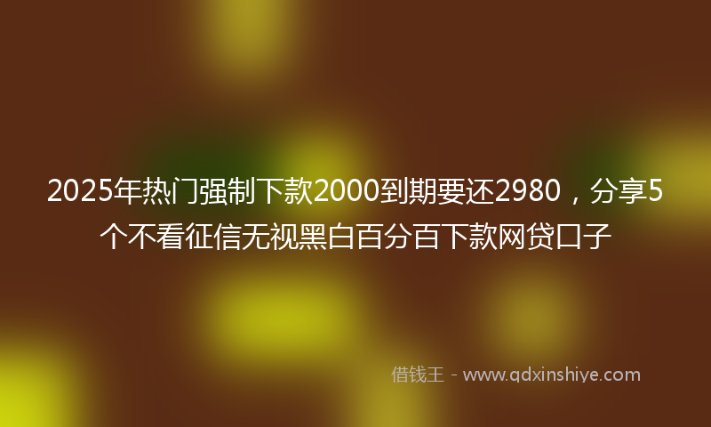 2025年热门强制下款2000到期要还2980，分享5个不看征信无视黑白百分百下款网贷口子