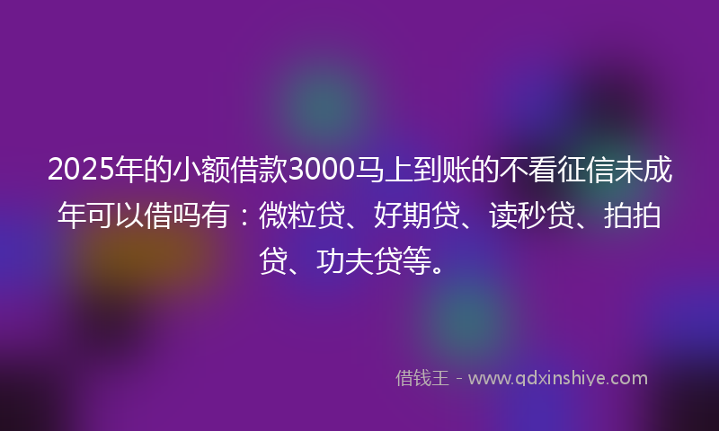 2025年的小额借款3000马上到账的不看征信未成年可以借吗有：微粒贷、好期贷、读秒贷、拍拍贷、功夫贷等。