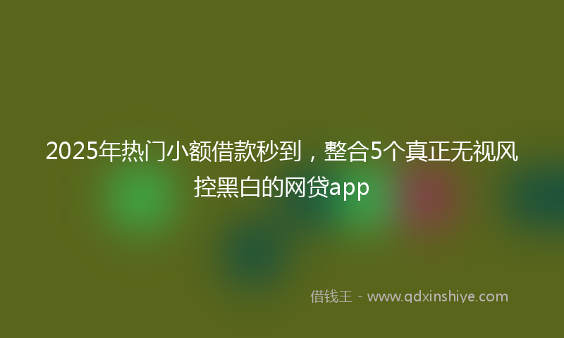 2025年热门小额借款秒到，整合5个真正无视风控黑白的网贷app