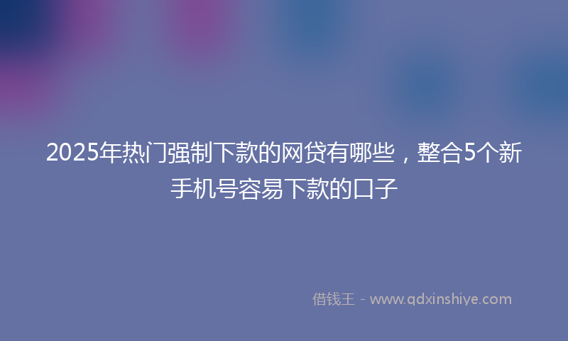 2025年热门强制下款的网贷有哪些，整合5个新手机号容易下款的口子