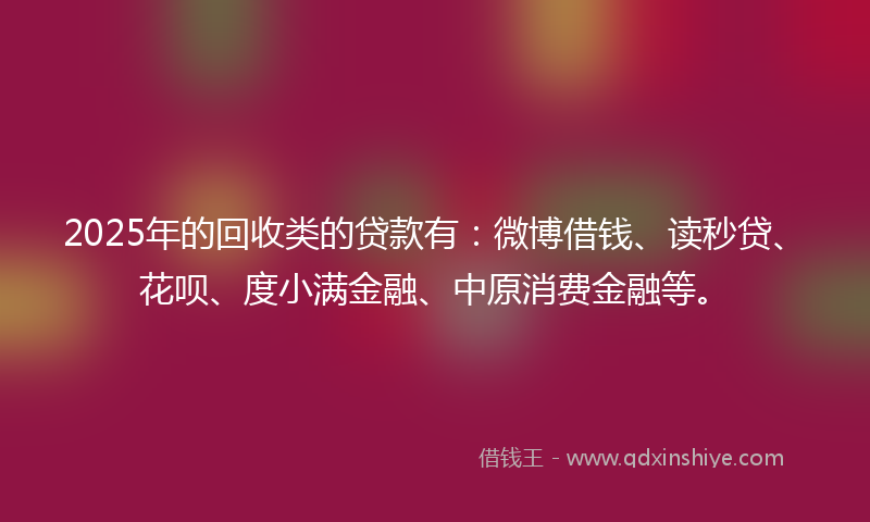 2025年的回收类的贷款有：微博借钱、读秒贷、花呗、度小满金融、中原消费金融等。