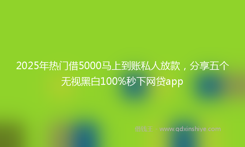 2025年热门借5000马上到账私人放款，分享五个无视黑白100%秒下网贷app