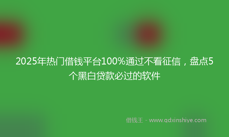 2025年热门借钱平台100%通过不看征信，盘点5个黑白贷款必过的软件