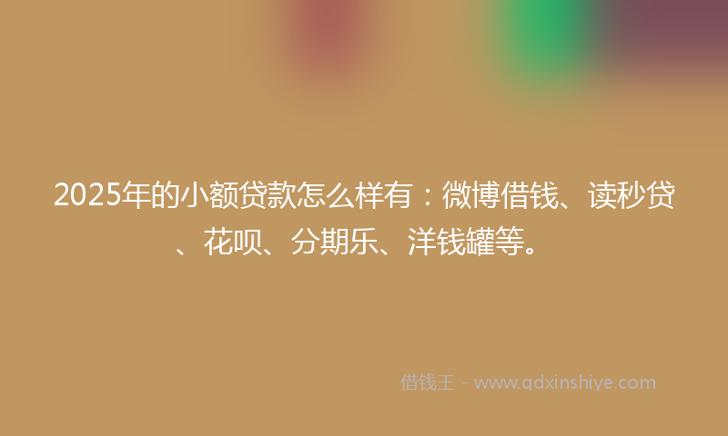 2025年的小额贷款怎么样有：微博借钱、读秒贷、花呗、分期乐、洋钱罐等。