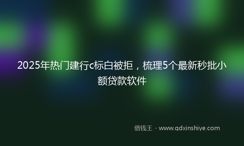 2025年热门建行c标白被拒，梳理5个最新秒批小额贷款软件
