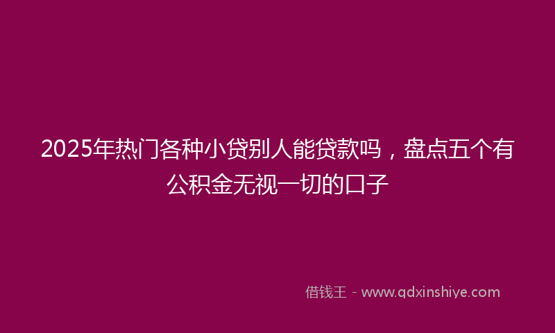 2025年热门各种小贷别人能贷款吗，盘点五个有公积金无视一切的口子