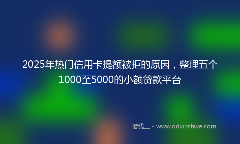 2025年热门信用卡提额被拒的原因，整理五个1000至5000的小额贷款平台