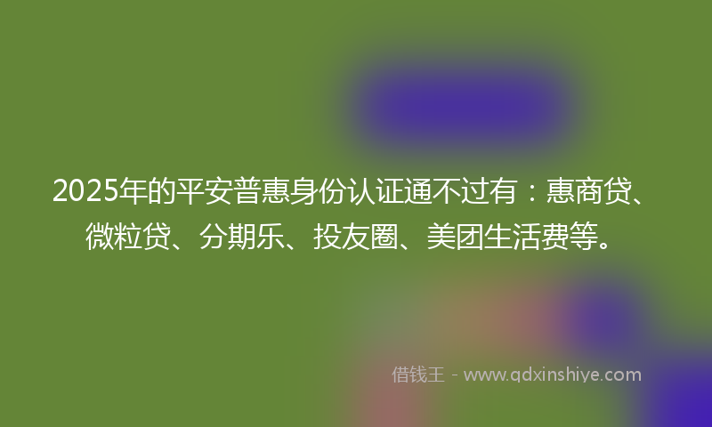 2025年的平安普惠身份认证通不过有：惠商贷、微粒贷、分期乐、投友圈、美团生活费等。