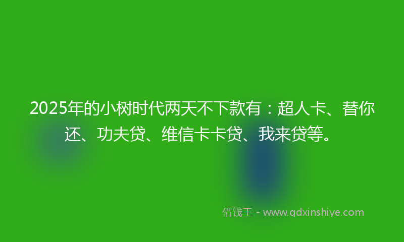 2025年的小树时代两天不下款有：超人卡、替你还、功夫贷、维信卡卡贷、我来贷等。
