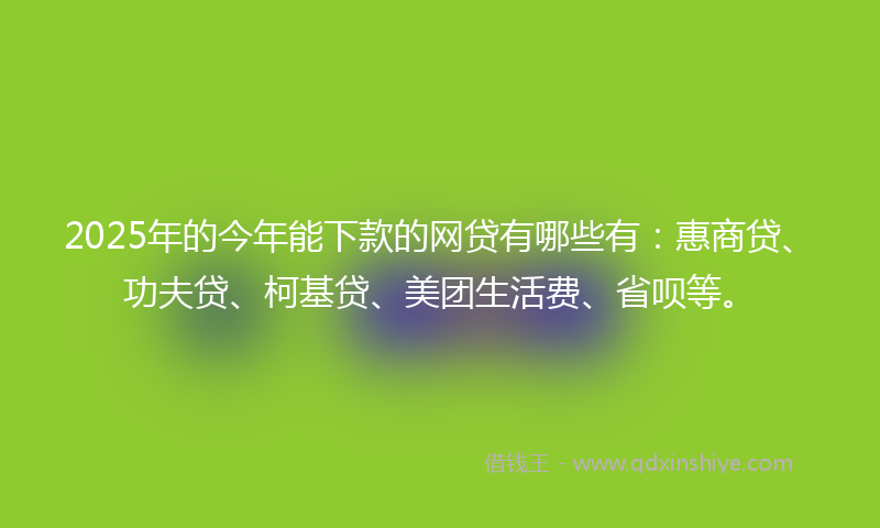 2025年的今年能下款的网贷有哪些有：惠商贷、功夫贷、柯基贷、美团生活费、省呗等。