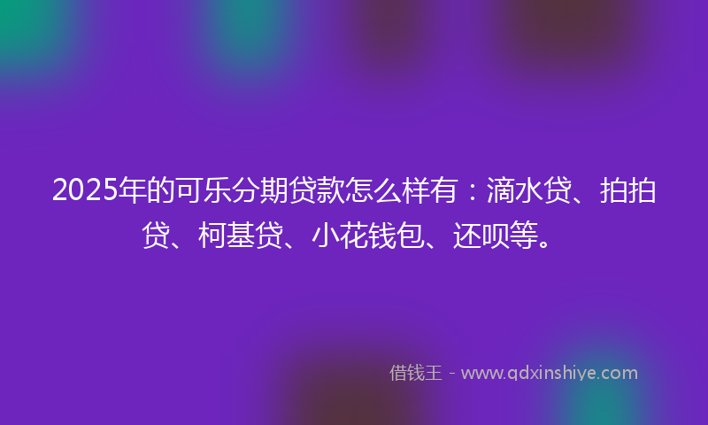 2025年的可乐分期贷款怎么样有：滴水贷、拍拍贷、柯基贷、小花钱包、还呗等。