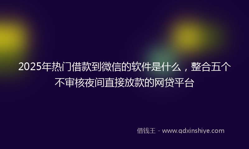 2025年热门借款到微信的软件是什么，整合五个不审核夜间直接放款的网贷平台