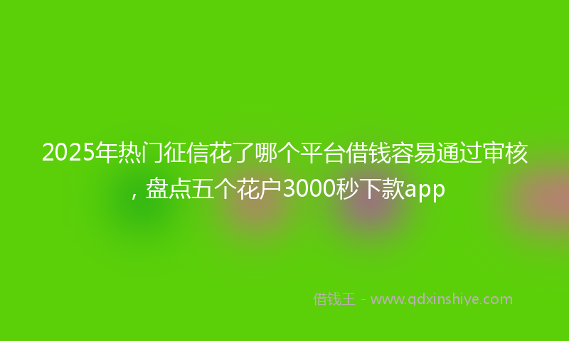 2025年热门征信花了哪个平台借钱容易通过审核，盘点五个花户3000秒下款app
