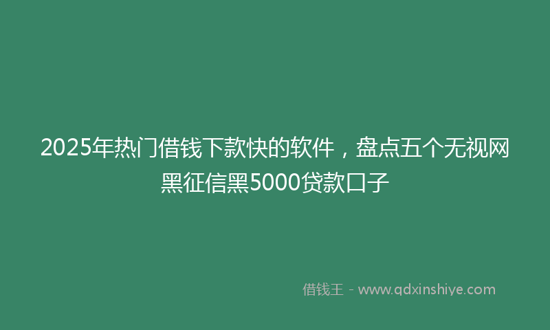 2025年热门借钱下款快的软件，盘点五个无视网黑征信黑5000贷款口子