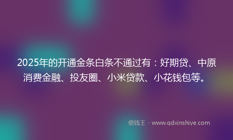 2025年的开通金条白条不通过有：好期贷、中原消费金融、投友圈、小米贷款、小花钱包等。