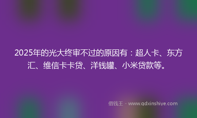 2025年的光大终审不过的原因有：超人卡、东方汇、维信卡卡贷、洋钱罐、小米贷款等。