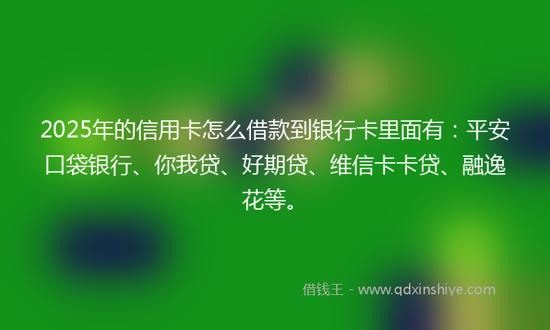 2025年的信用卡怎么借款到银行卡里面有：平安口袋银行、你我贷、好期贷、维信卡卡贷、融逸花等。
