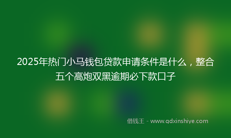 2025年热门小马钱包贷款申请条件是什么，整合五个高炮双黑逾期必下款口子