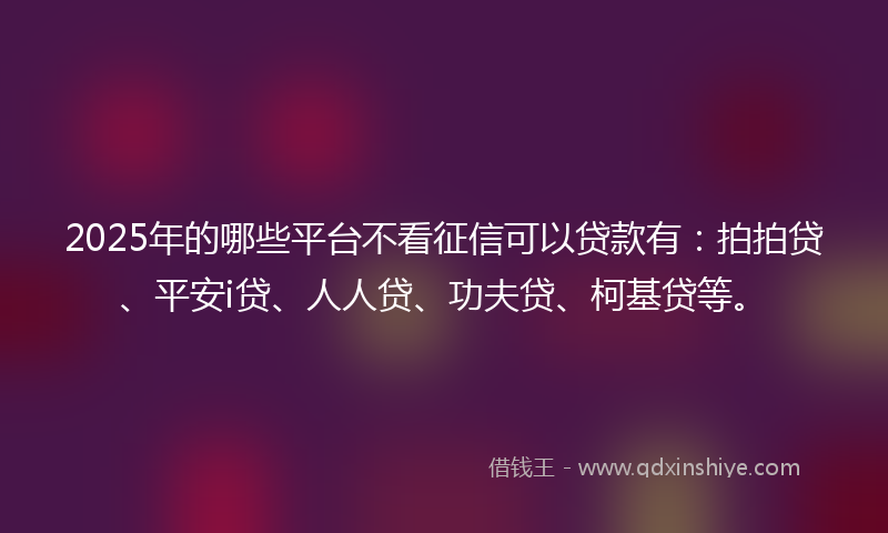 2025年的哪些平台不看征信可以贷款有：拍拍贷、平安i贷、人人贷、功夫贷、柯基贷等。