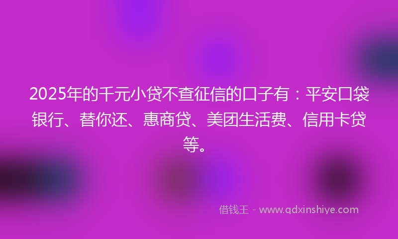 2025年的千元小贷不查征信的口子有：平安口袋银行、替你还、惠商贷、美团生活费、信用卡贷等。