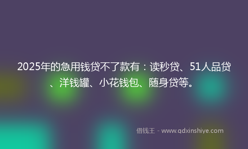 2025年的急用钱贷不了款有：读秒贷、51人品贷、洋钱罐、小花钱包、随身贷等。