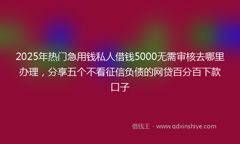 2025年热门急用钱私人借钱5000无需审核去哪里办理，分享五个不看征信负债的网贷百分百下款口子
