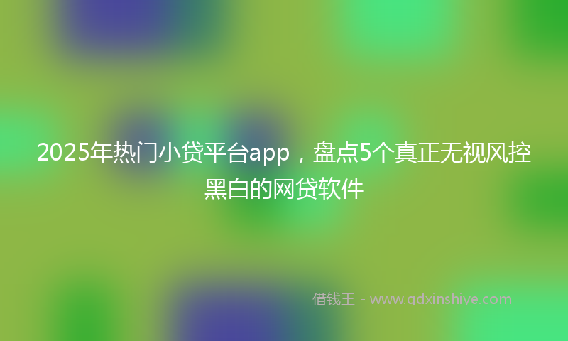 2025年热门小贷平台app，盘点5个真正无视风控黑白的网贷软件