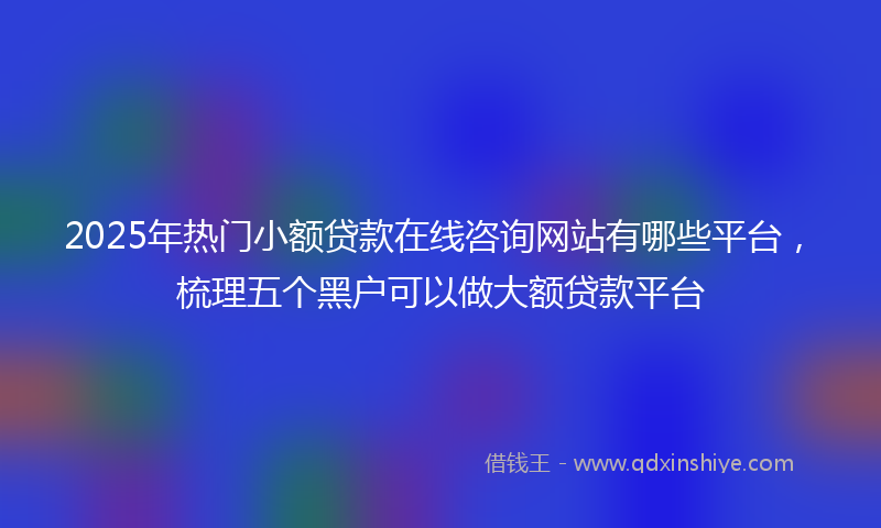 2025年热门小额贷款在线咨询网站有哪些平台，梳理五个黑户可以做大额贷款平台
