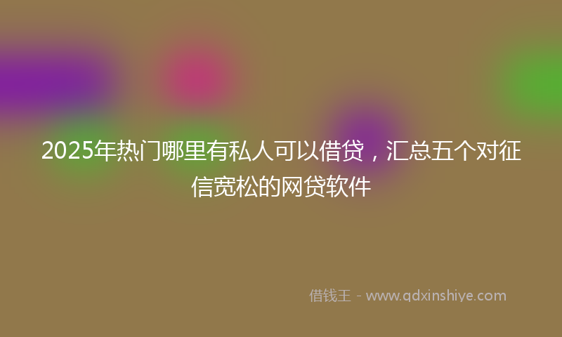 2025年热门哪里有私人可以借贷，汇总五个对征信宽松的网贷软件