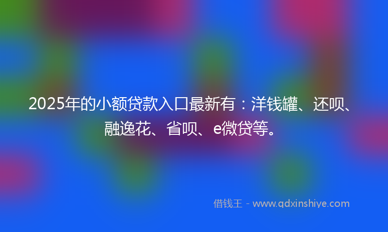 2025年的小额贷款入口最新有：洋钱罐、还呗、融逸花、省呗、e微贷等。
