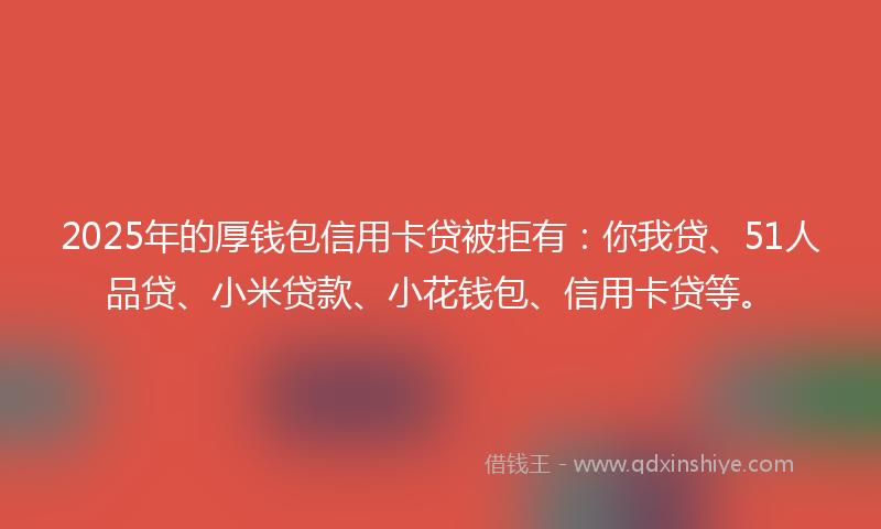 2025年的厚钱包信用卡贷被拒有：你我贷、51人品贷、小米贷款、小花钱包、信用卡贷等。