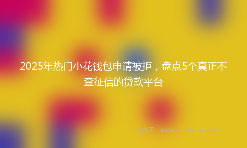 2025年热门小花钱包申请被拒，盘点5个真正不查征信的贷款平台
