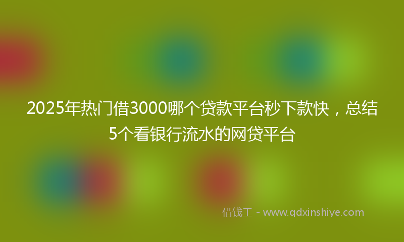 2025年热门借3000哪个贷款平台秒下款快，总结5个看银行流水的网贷平台