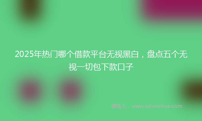 2025年热门哪个借款平台无视黑白，盘点五个无视一切包下款口子