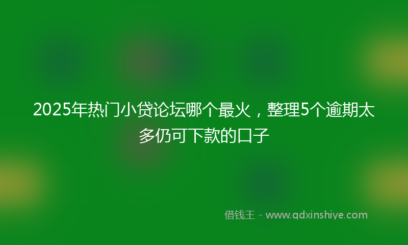 2025年热门小贷论坛哪个最火，整理5个逾期太多仍可下款的口子