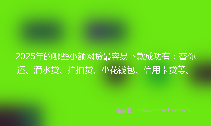2025年的哪些小额网贷最容易下款成功有：替你还、滴水贷、拍拍贷、小花钱包、信用卡贷等。
