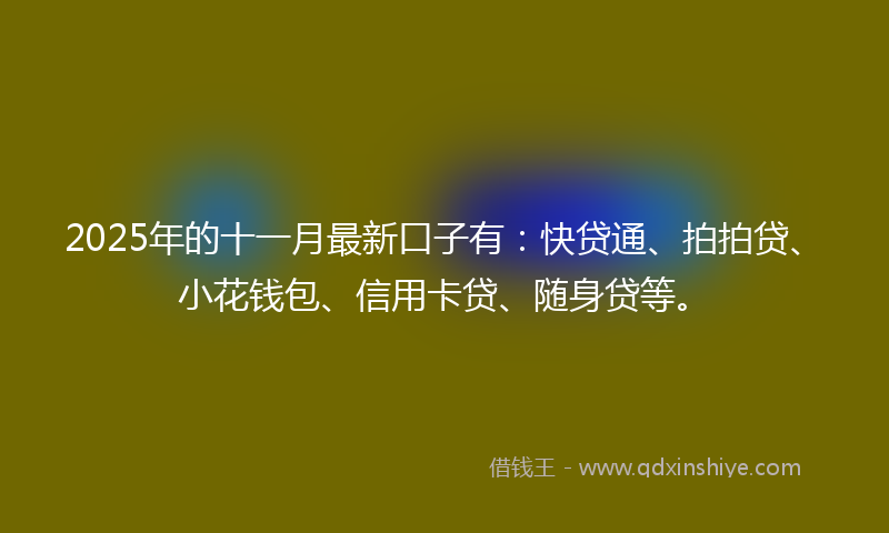 2025年的十一月最新口子有：快贷通、拍拍贷、小花钱包、信用卡贷、随身贷等。