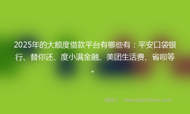 2025年的大额度借款平台有哪些有：平安口袋银行、替你还、度小满金融、美团生活费、省呗等。