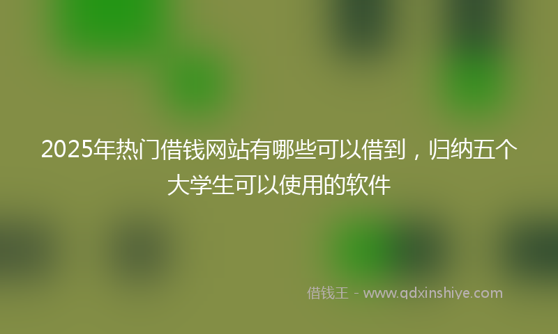 2025年热门借钱网站有哪些可以借到，归纳五个大学生可以使用的软件