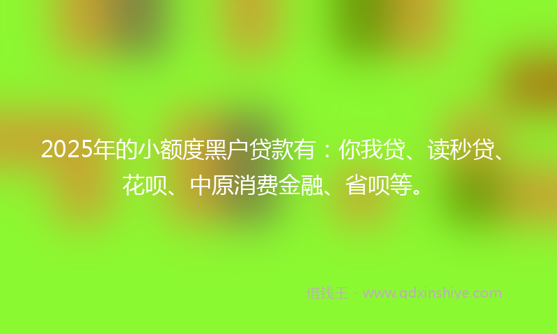 2025年的小额度黑户贷款有：你我贷、读秒贷、花呗、中原消费金融、省呗等。