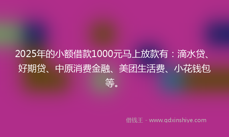 2025年的小额借款1000元马上放款有：滴水贷、好期贷、中原消费金融、美团生活费、小花钱包等。