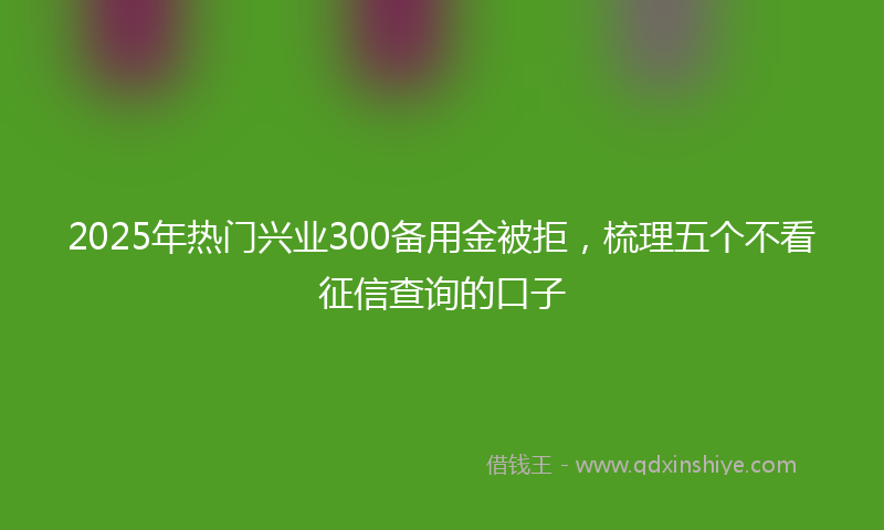 2025年热门兴业300备用金被拒，梳理五个不看征信查询的口子