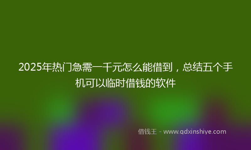 2025年热门急需一千元怎么能借到，总结五个手机可以临时借钱的软件