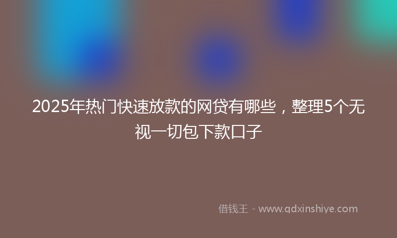 2025年热门快速放款的网贷有哪些，整理5个无视一切包下款口子
