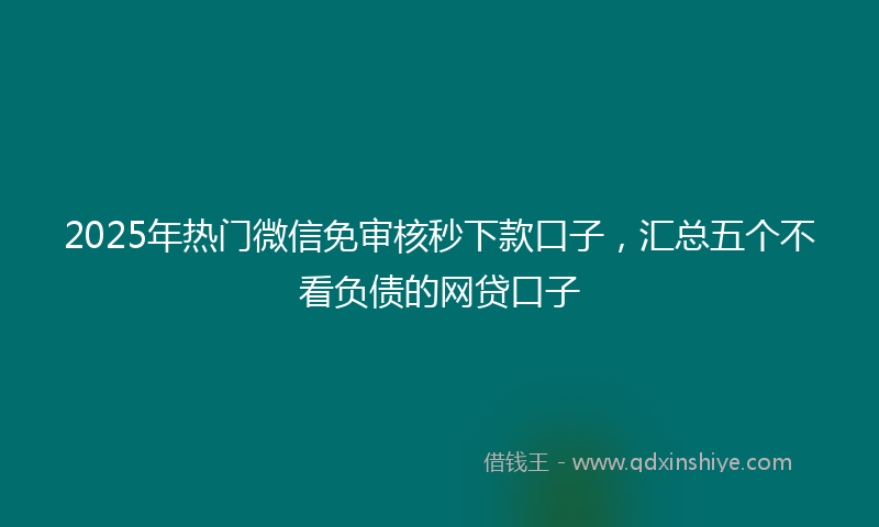 2025年热门微信免审核秒下款口子，汇总五个不看负债的网贷口子