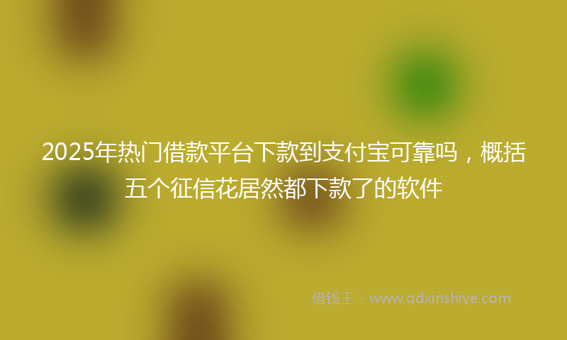 2025年热门借款平台下款到支付宝可靠吗，概括五个征信花居然都下款了的软件