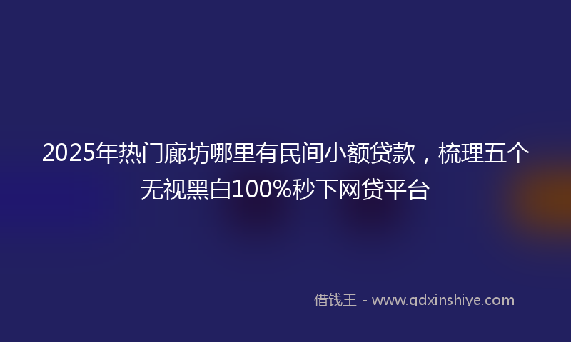 2025年热门廊坊哪里有民间小额贷款，梳理五个无视黑白100%秒下网贷平台