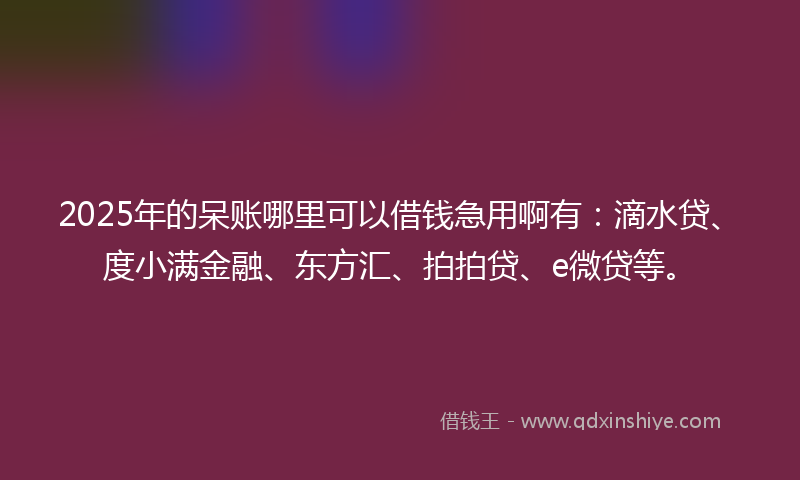 2025年的呆账哪里可以借钱急用啊有：滴水贷、度小满金融、东方汇、拍拍贷、e微贷等。